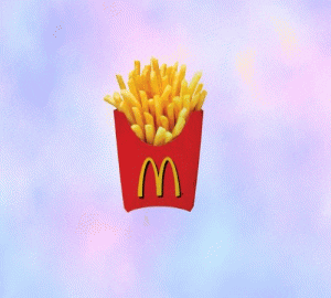fries